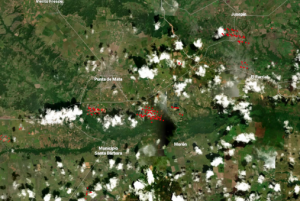 Incêndios na Venezuela no mapa